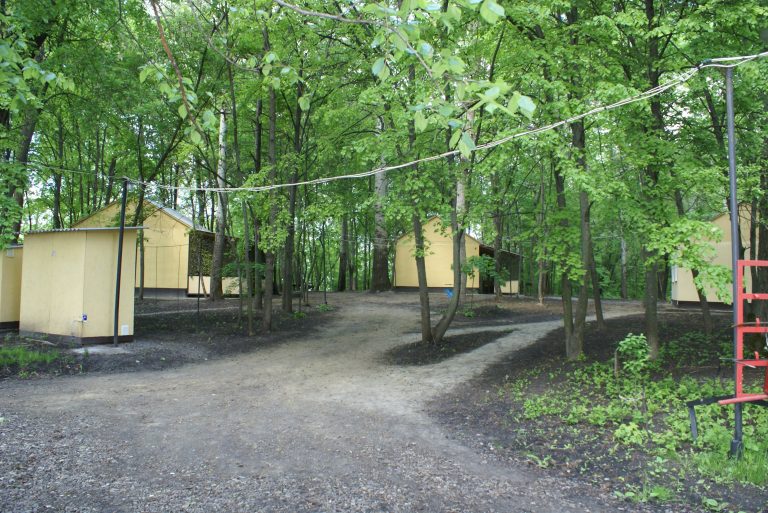 домики в лесу